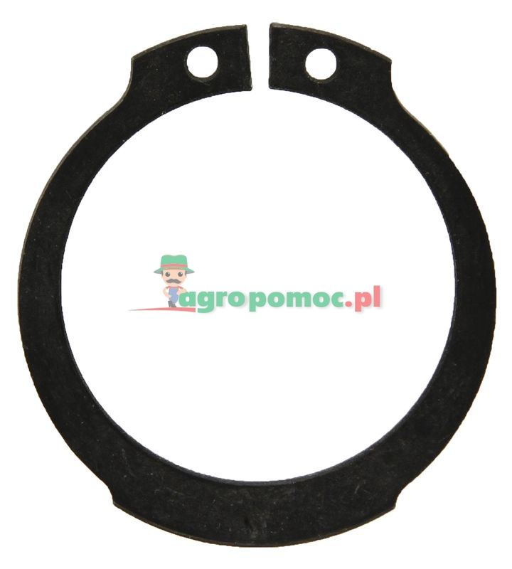 Pierścień zabezpieczający | 00658581 | zdjęcie nr 1